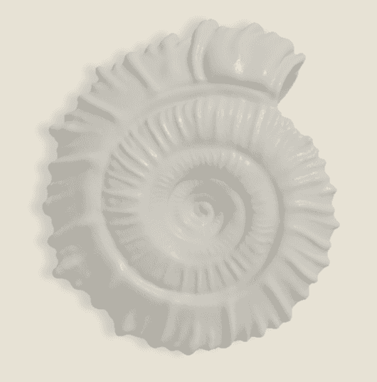 Sheel 3d model