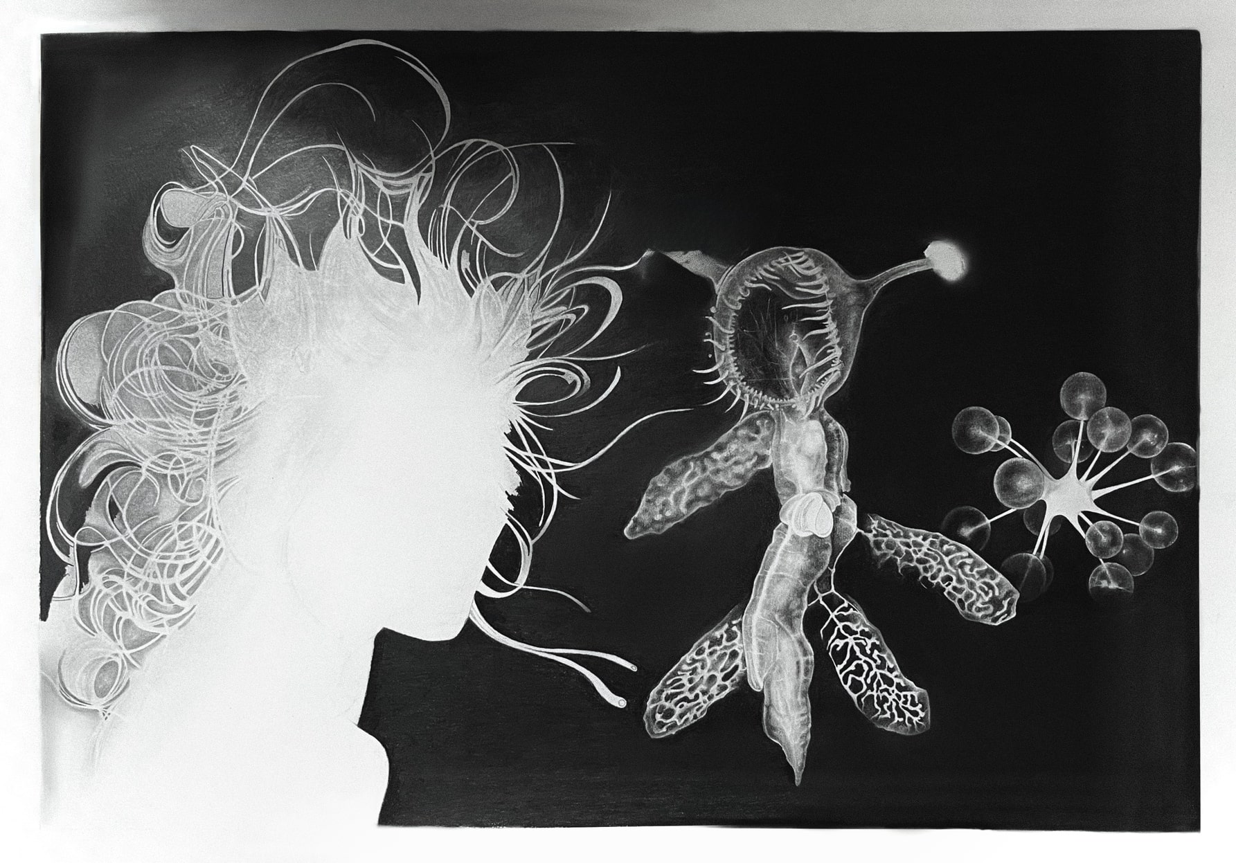 Artwork 4